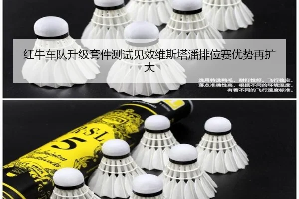 红牛车队升级套件测试见效维斯塔潘排位赛优势再扩大