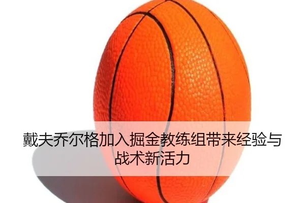 戴夫乔尔格加入掘金教练组带来经验与战术新活力